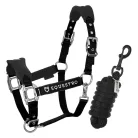 Kétállású zablak és vezetőszár