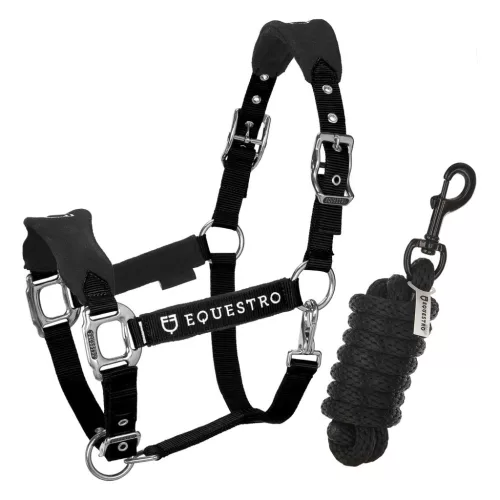 Kétállású zablak és vezetőszár