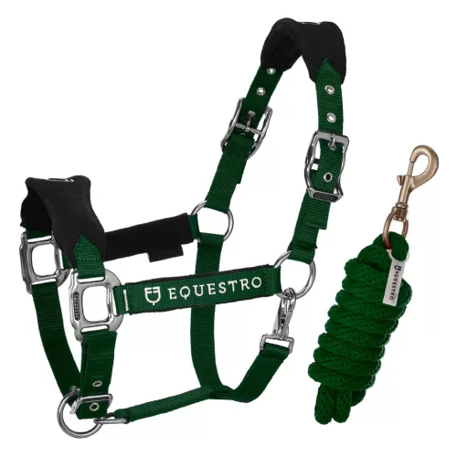 Kétállású zablak és vezetőszár