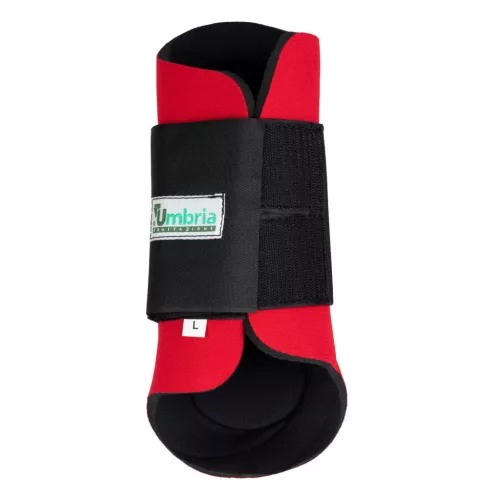 GALLOPING BOOTS