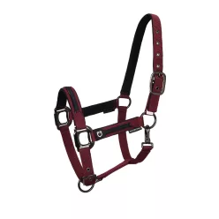 Equestro Durable kötőfék vezetőszárral - bordó, Full
