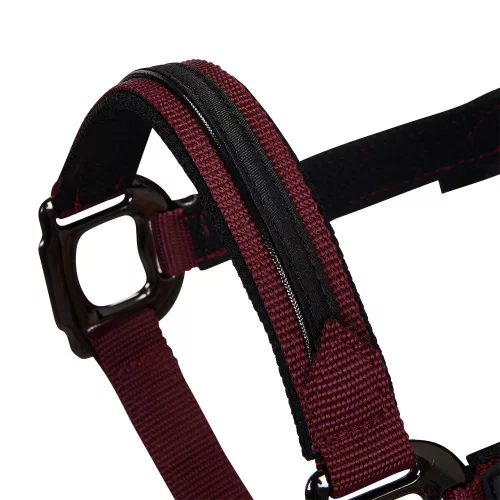 Equestro Durable kötőfék vezetőszárral - bordó, Full