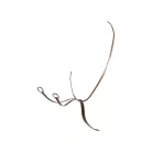 Bőr martingál nyakörv