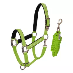Equestro bélelt kötőfék vezetőszárral - lime, Cob