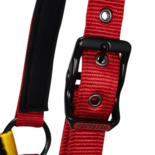 Nylon kantár snap horgokkal