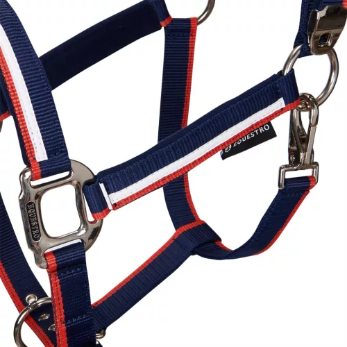 Bélelt kötőfék csattal, pony, navy/piros