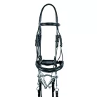 OLYMPE DRESSAGE ZABLA