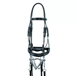 OLYMPE DRESSAGE ZABLA