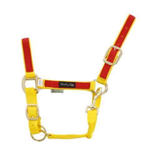 Színes részekkel ellátott nylon kantár