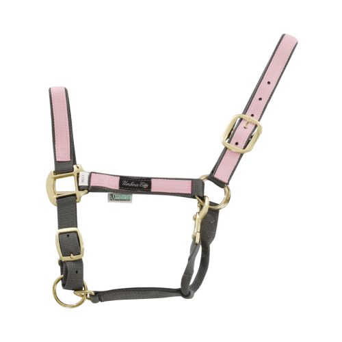 Színes részekkel ellátott nylon kantár