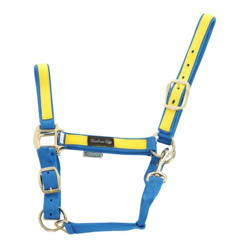 Színes Részletekkel Ellátott Nylon Kötőfék