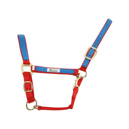 Nylon kantár színes részekkel