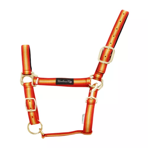 Nylon kantár bőr megerősítéssel