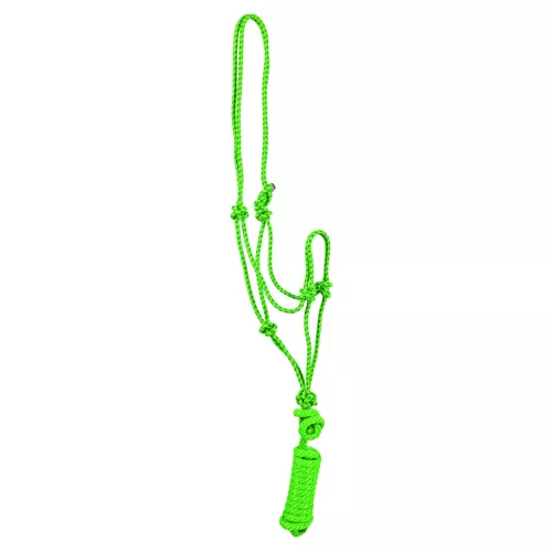POOL'S TWIN KNOTTED HALTER WITH LEAD