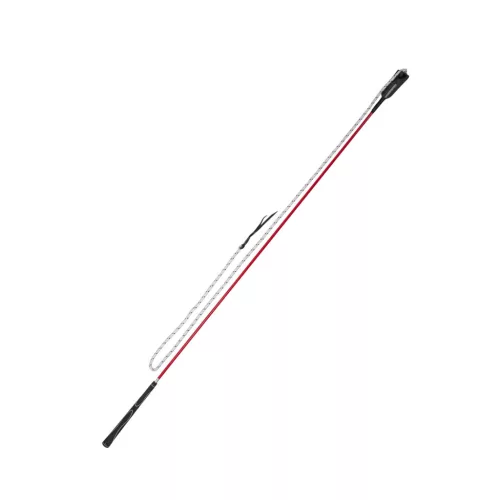 Sárgarépa Pálca 150 CM