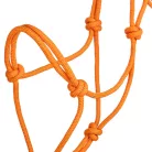 POOL'S KNOT HALTER