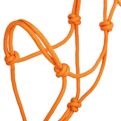 POOL'S KNOT HALTER