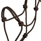 POOL'S KNOT HALTER