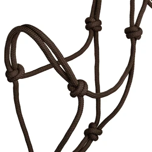 POOL'S KNOT HALTER