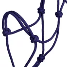 POOL'S KNOT HALTER