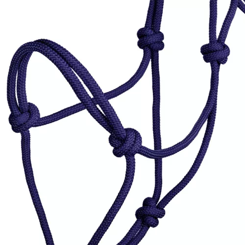 POOL'S KNOT HALTER