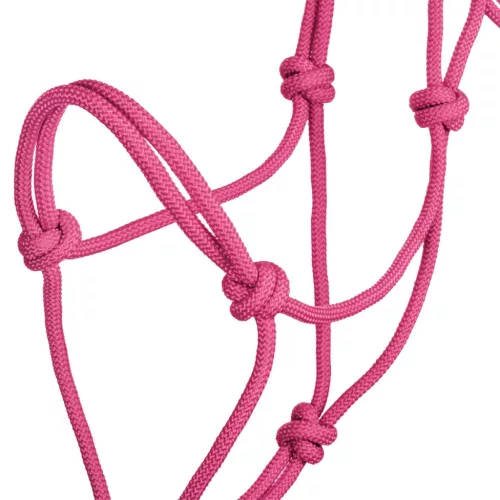 POOL'S KNOT HALTER