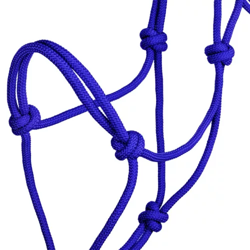 POOL'S KNOT HALTER