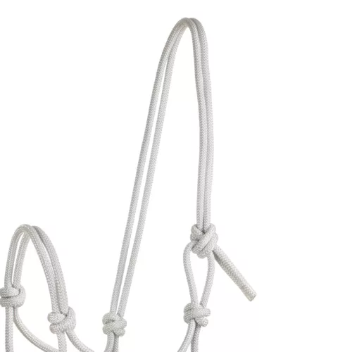 POOL'S KNOT HALTER