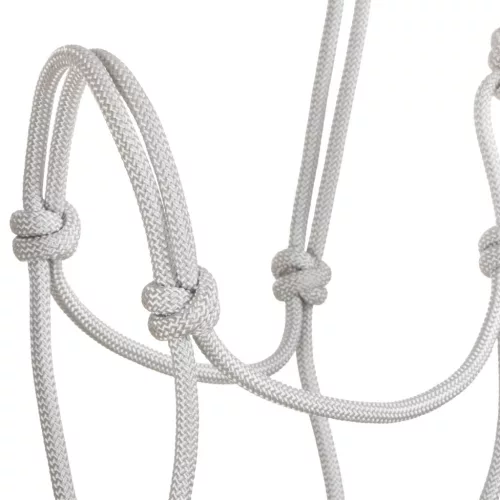 POOL'S KNOT HALTER