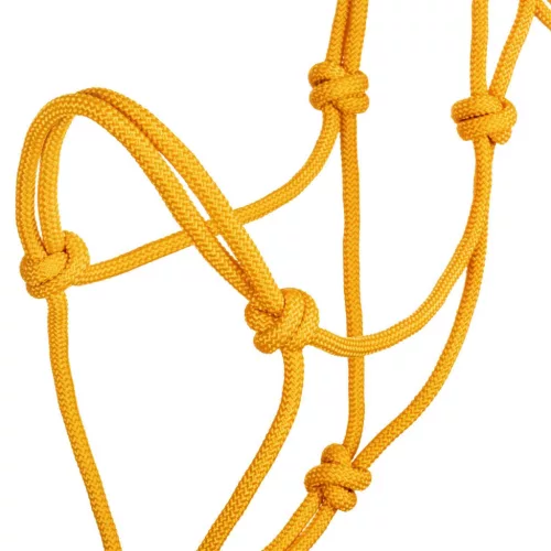 POOL'S KNOT HALTER