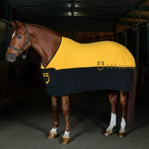 Equestro Kétszínű, bolyhosodásmentes polár takaró