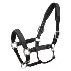 Bőr kötőfék fonott nylon betétekkel, cob, fekete/kék