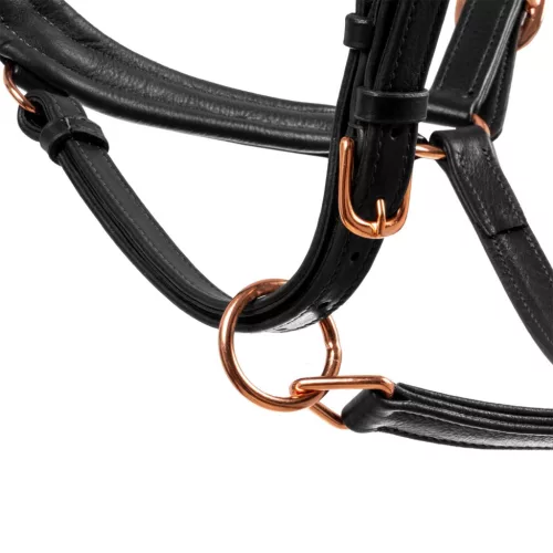 Fényes bőrből készült kantár rózsaarany csatokkal