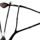 Anatómiai 5 pontos mellszíj