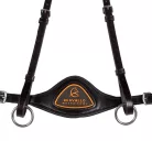 Anatómiai 5 pontos mellszíj