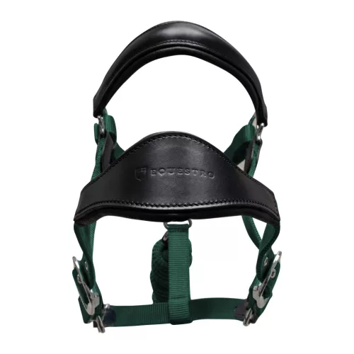 Ergonomikus kantár bőrszegéllyel