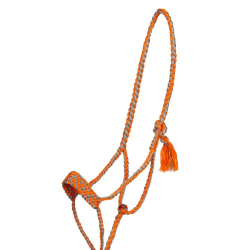 Széles orrú kötelező kantár vezetővel