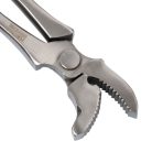 Görbített fejű szögkihúzó