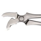 Görbített fejű szögkihúzó