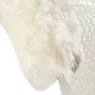 Gel NS-S Classic-S kivágott elülső emelő