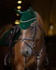 Maximilian Velúr Díjlovas nyeregalátét (jade)
