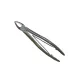 Straight Forceps Closed
