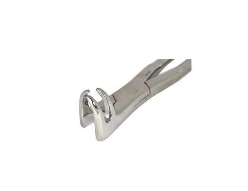 3 Roots Molar Forceps (onside)
