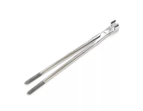 Molar Forceps