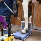 DR-Cowboybox