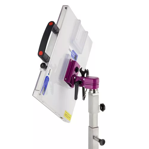 Denfinity | Head Stand