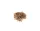 Drive Shaft Brass Shear Pins