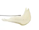 11s Handpiece - Convex