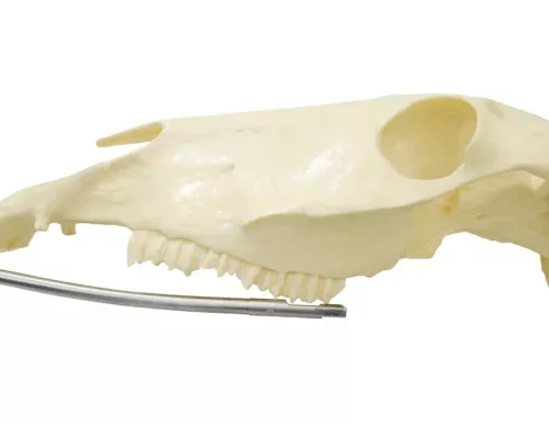 11s Handpiece - Concave