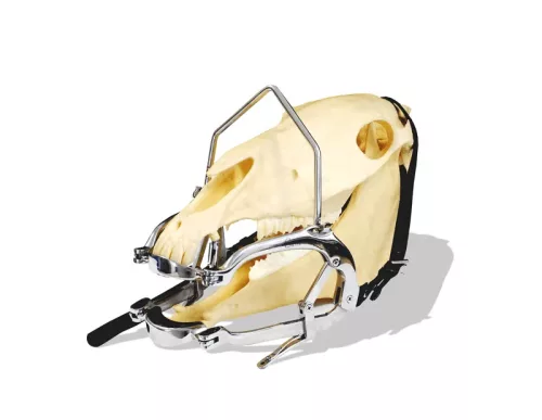 Spreader Arch for Speculum